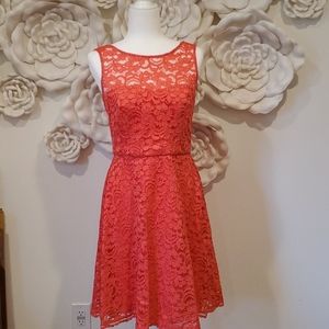 David's Bridal party dress lace cocktail EUC